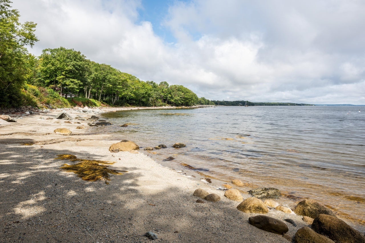 A photo of the shoreline on a partly cloudy day. There are a handful of rocks dotting the beach, and lots of greenery along the edge of the beach in the background.