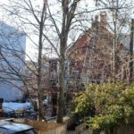 A rundown home with a red exterior is visible through thick, sparse trees.