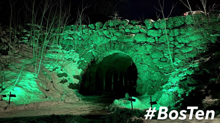 Ellicott Arch in Franklin Park is one of the many locales lit up through March.