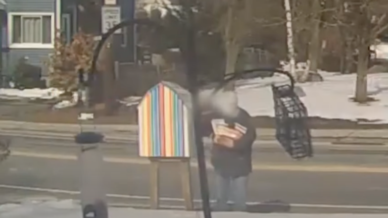 LGBTQ Little Free Library in Waltham allegedly targeted by thieves - Vimarsana News