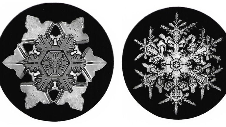 Snowflake and Snow Crystal Photographs