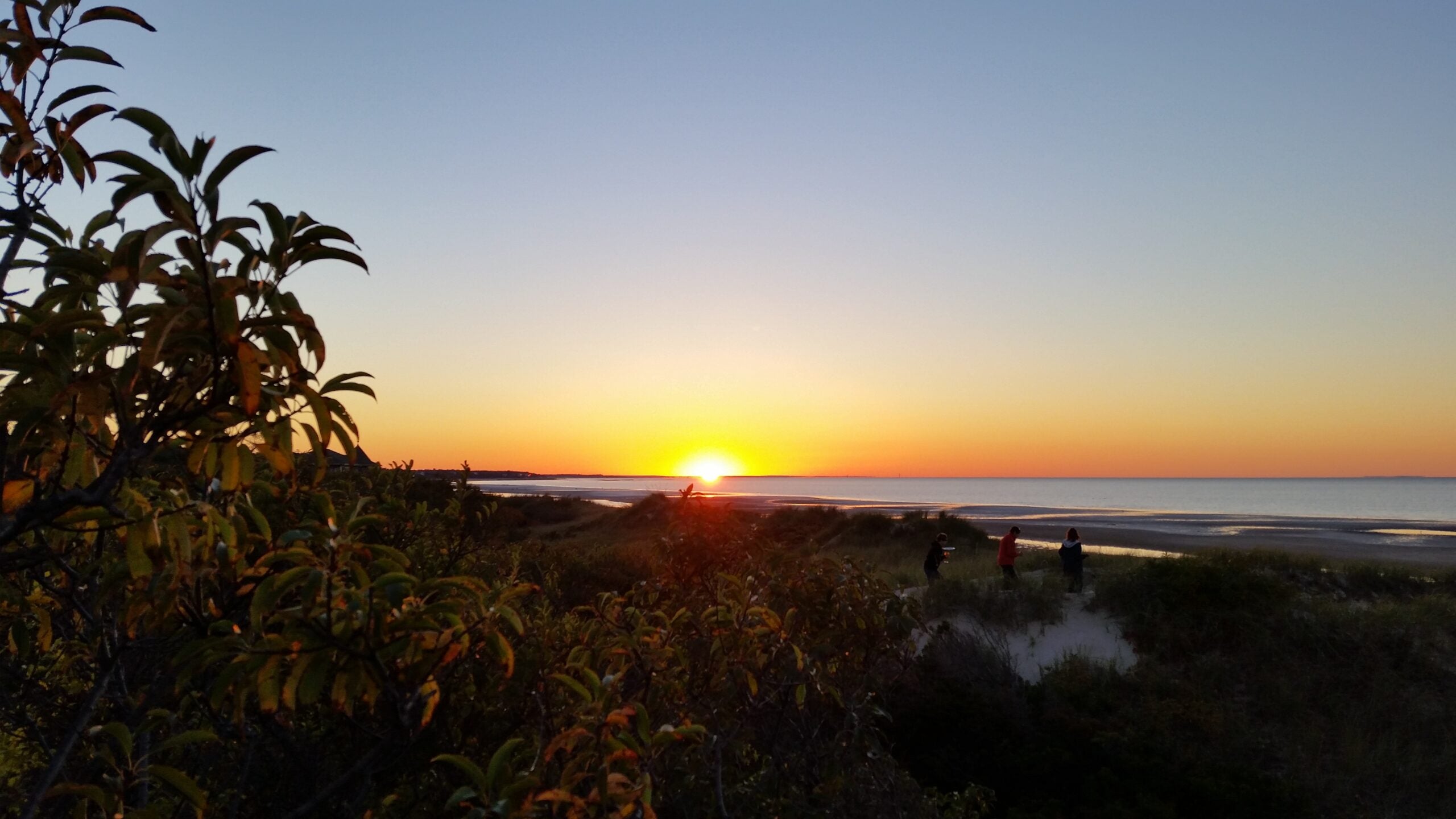 This Is the Best Beach on Cape Cod — and It's in a Beautiful Town Packed  With Seafood Restaurants