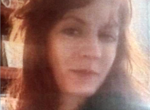 State police are searching for a missing New York woman in Western Mass.