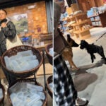 Zendaya shops on Newbury Street in Boston.