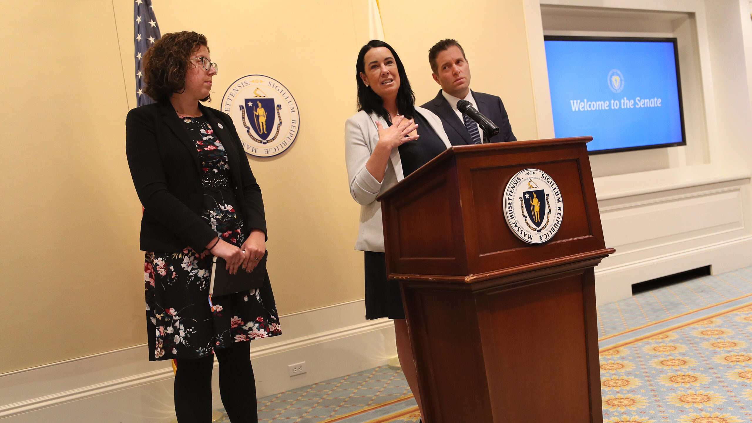 At the Massachusetts State House, state Rep. Natalie Higgins, left, Lynn Roy, center, mother of Conrad Roy, and Sen. Barry Finegold announce 