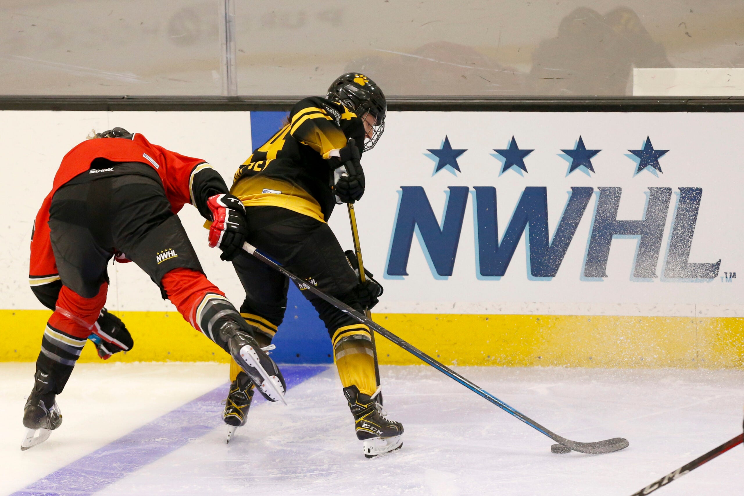 PWHPA  Professional Women's Hockey Players' Association