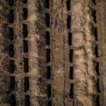 Wojciech Grzedzinski