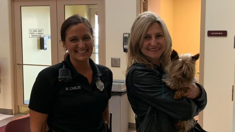 Mass. family sees return of dog missing for 11 years thanks to efforts of animal control officer - Vimarsana News