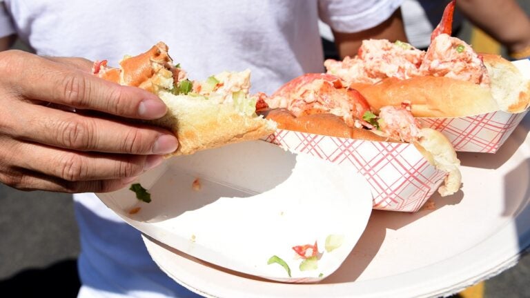 Boston Seafood Festival lobster rolls