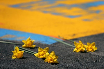 Marathon bombing survivor Jeff Bauman and wife Erin Hurley to divorce