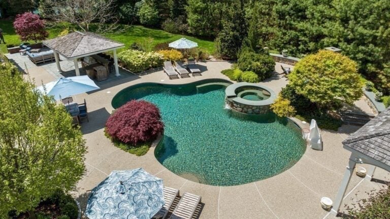 39-Beaver-Rd-Weston-Pool