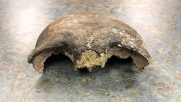 Human skull about 8,000 years old is found in Minnesota River