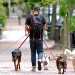 Boston weather -- A good day to walk with friends on Marlborough Street in the Back Bay.