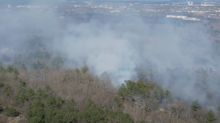 Brush fire destroys 16 acres of Blue Hills Reservation - Vimarsana News