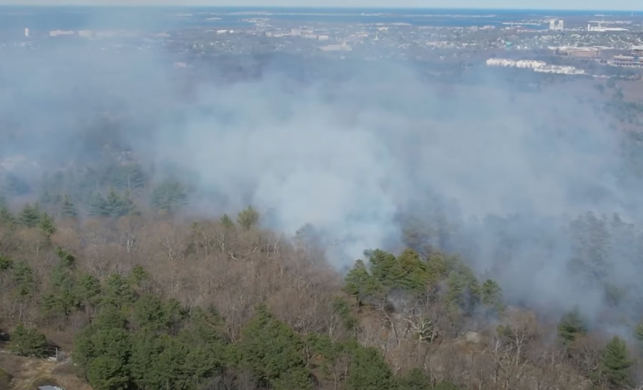 Brush fire destroys 16 acres of Blue Hills Reservation