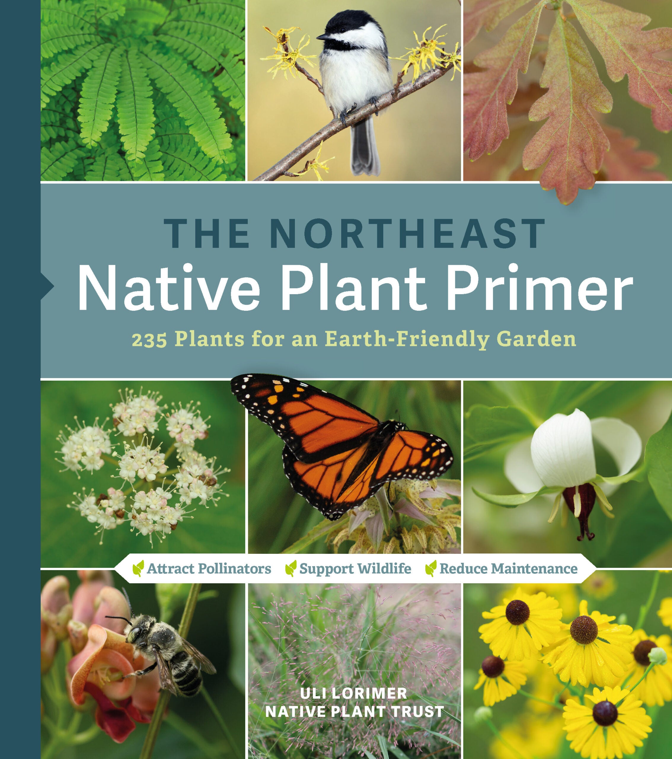 northeast-native-plant-primer-cover