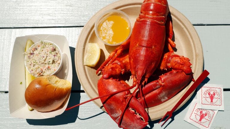 A cooked lobster is served to eat