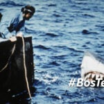 Richard Dreyfuss Robert Shaw Jaws