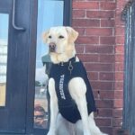 Melrose Police Department