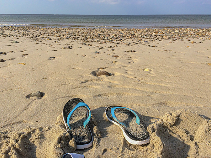 10 Best Beaches in Cape Cod - What is the Most Popular Beach on Cape Cod? –  Go Guides