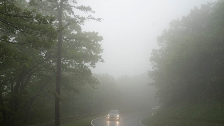 He was acting strangely. Then he vanished into the Virginia wilderness. - Vimarsana News