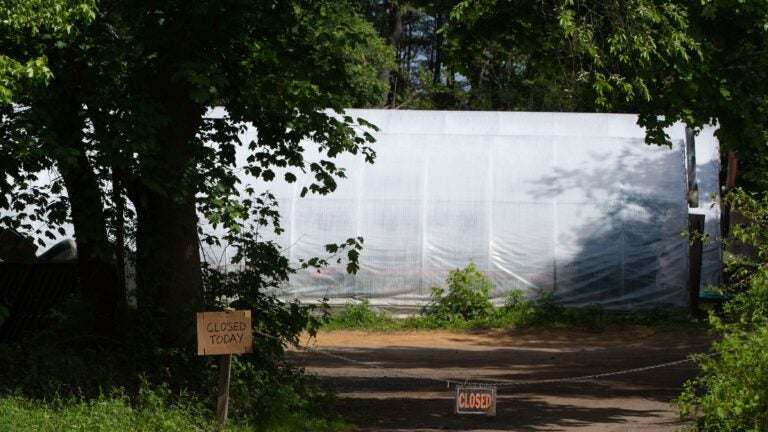 Newbury greenhouse to close in wake of family member's death - Vimarsana News