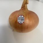 US Food and Drug Administration