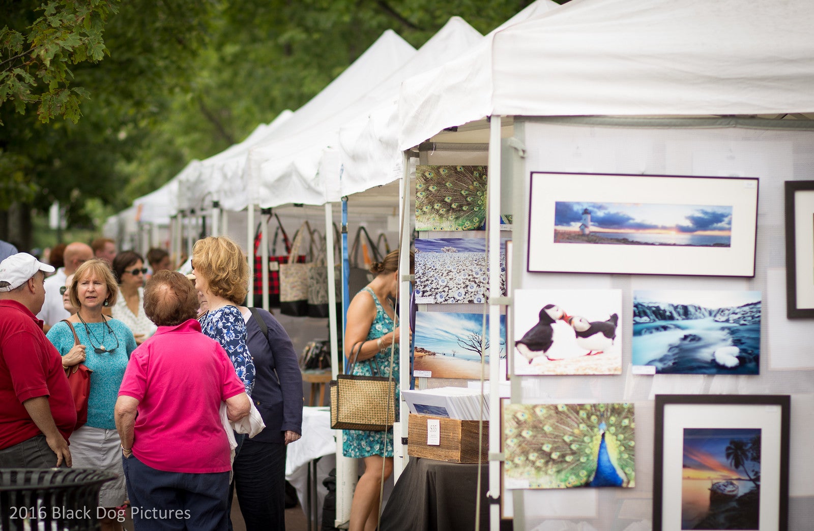 Immerse yourself in art at the Boston Arts Festival