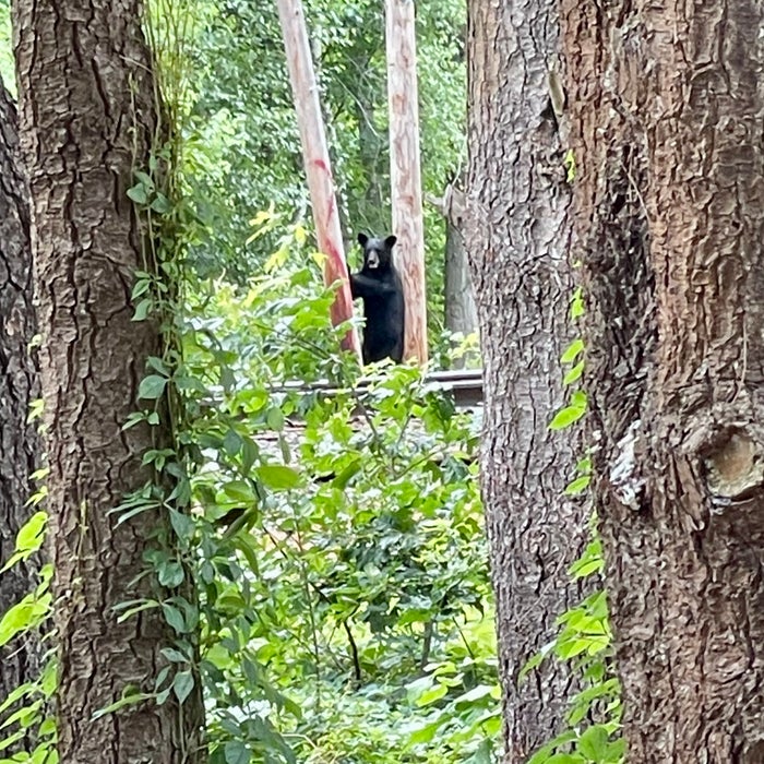 Police warn to watch out for drugged drinks in Boston bars