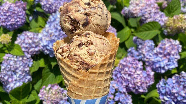 Best ice cream stands in Massachusetts