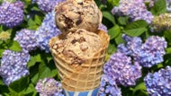 Cape Cod’s Sundae School to offer 76-cent ice cream scoops
