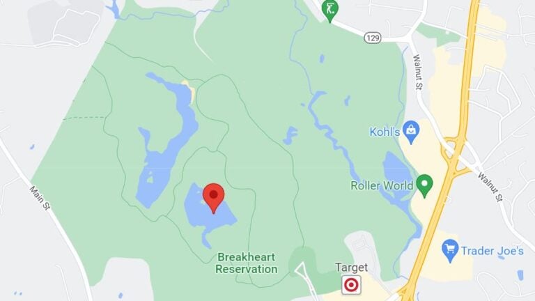 Young man pulled from pond at Saugus reservation in grave condition - Vimarsana News