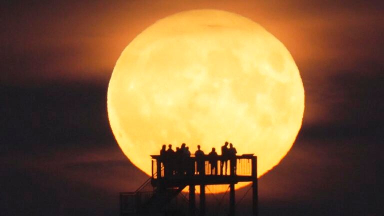 Tonight's Buck Moon will be the first of four ultra-bright supermoons •