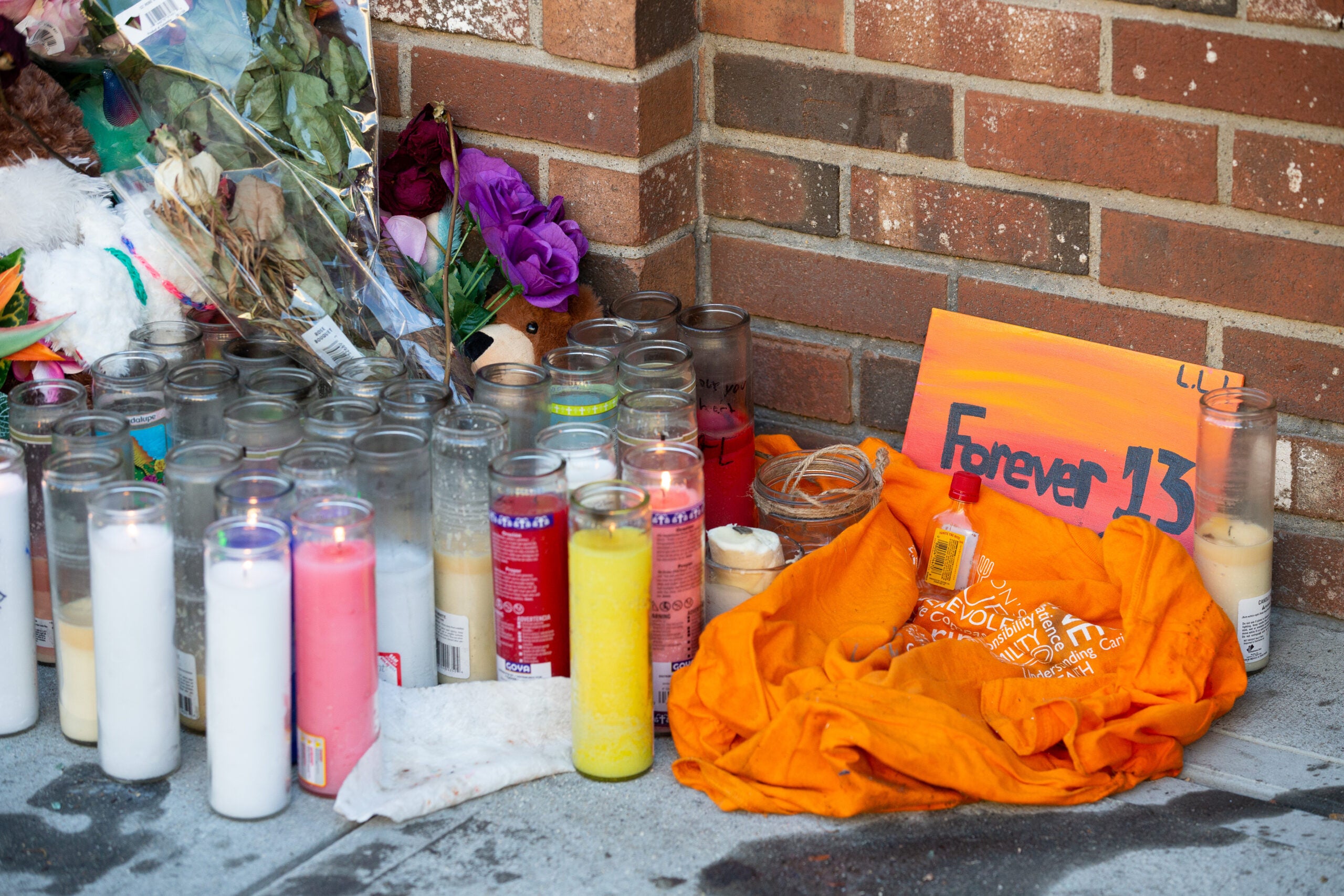 Worcester Ma Flower Show Best Flower Site