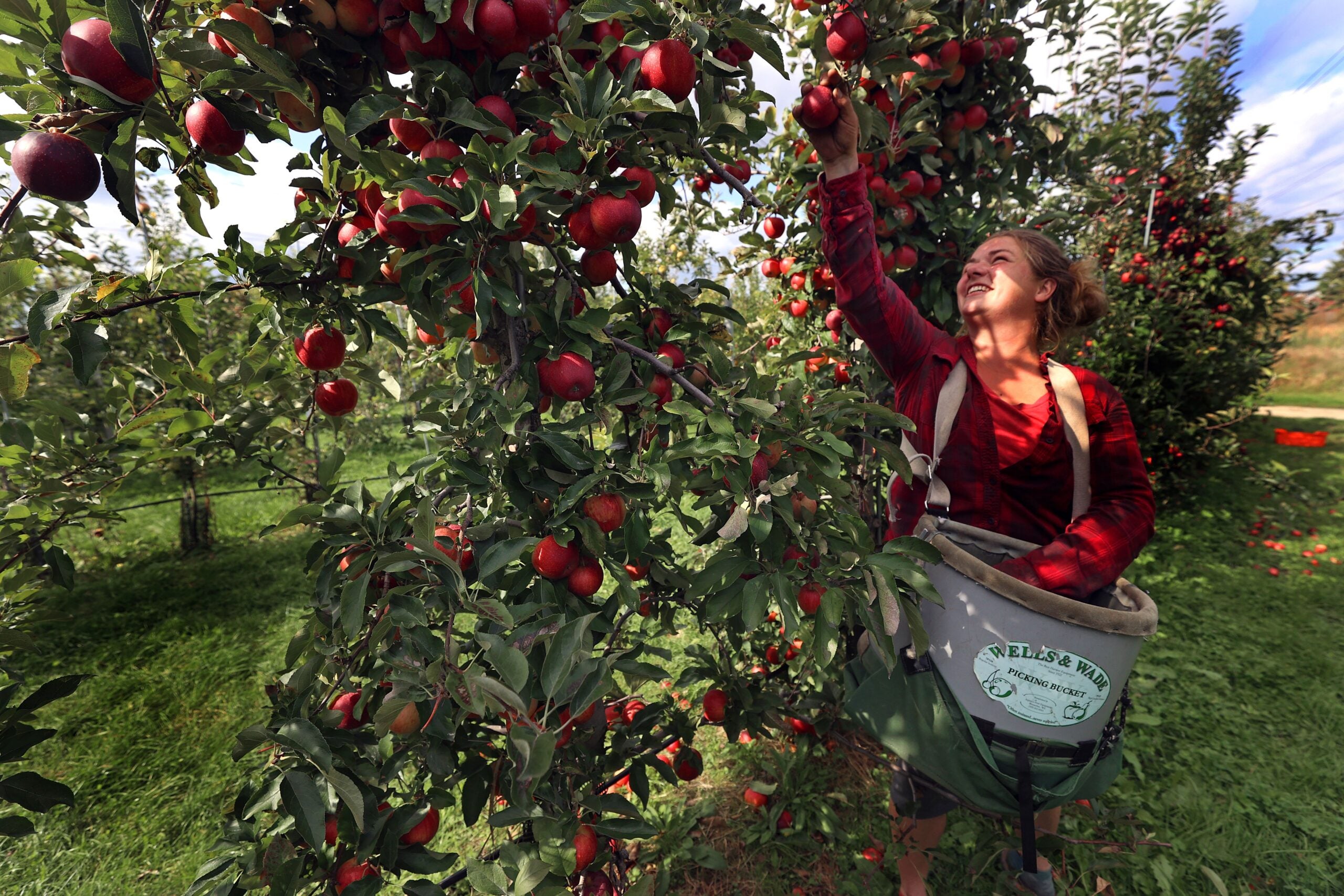 Tell Us What s Your Favorite Place To Go Apple Picking 