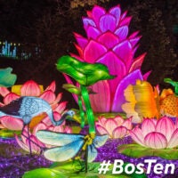 "Boston Lights: A Lantern Experience" is now at the Franklin Park Zoo in Boston through September 25.
