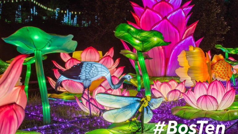 "Boston Lights: A Lantern Experience" is now at the Franklin Park Zoo in Boston through September 25.