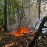 Georgetown Fire Department