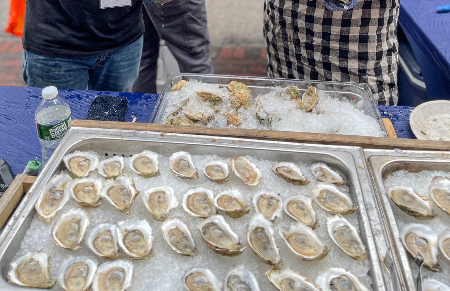 are dogs allowed at oyster fest