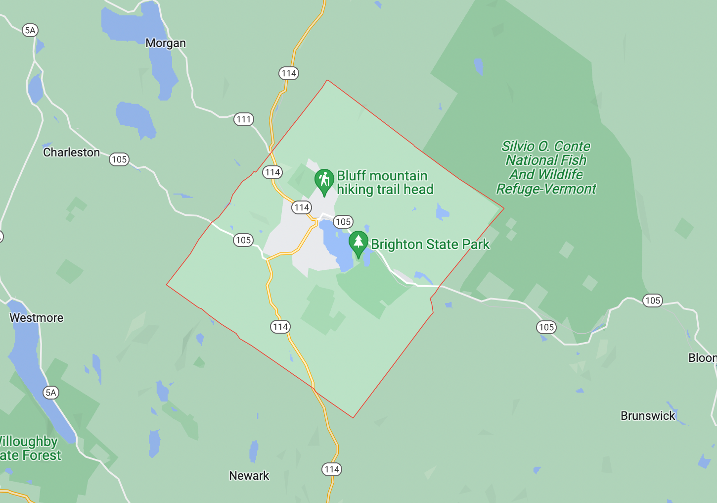 Vermont man charged with throwing 'explosive devices' at police