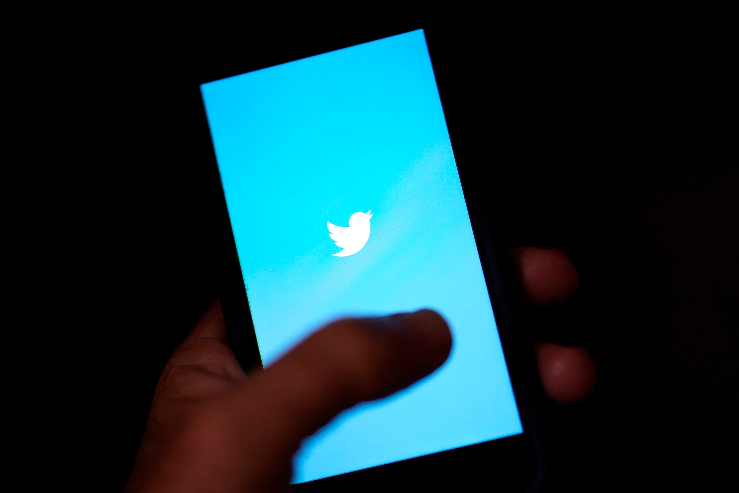 alt = blue and white Twitter logo on phone screen