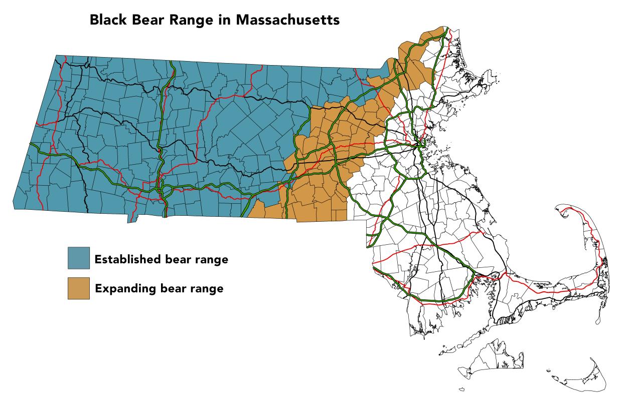 Where bears have been seen in Mass. this summer