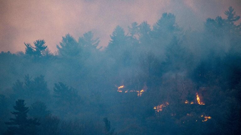 Brush Fires Are Spreading Across Mass., Drawing Comparisons To California