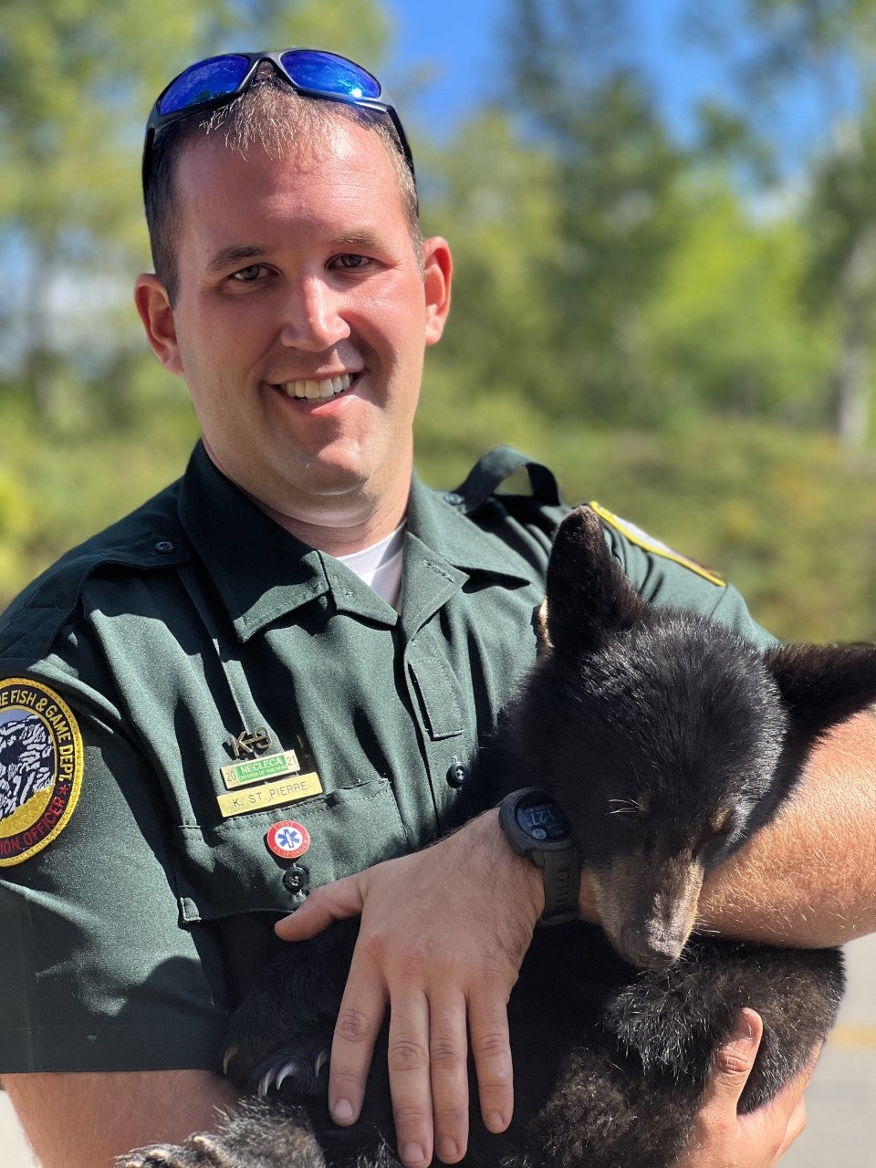 NH Fish and Game rescues bear cub after its mom was hit by a car