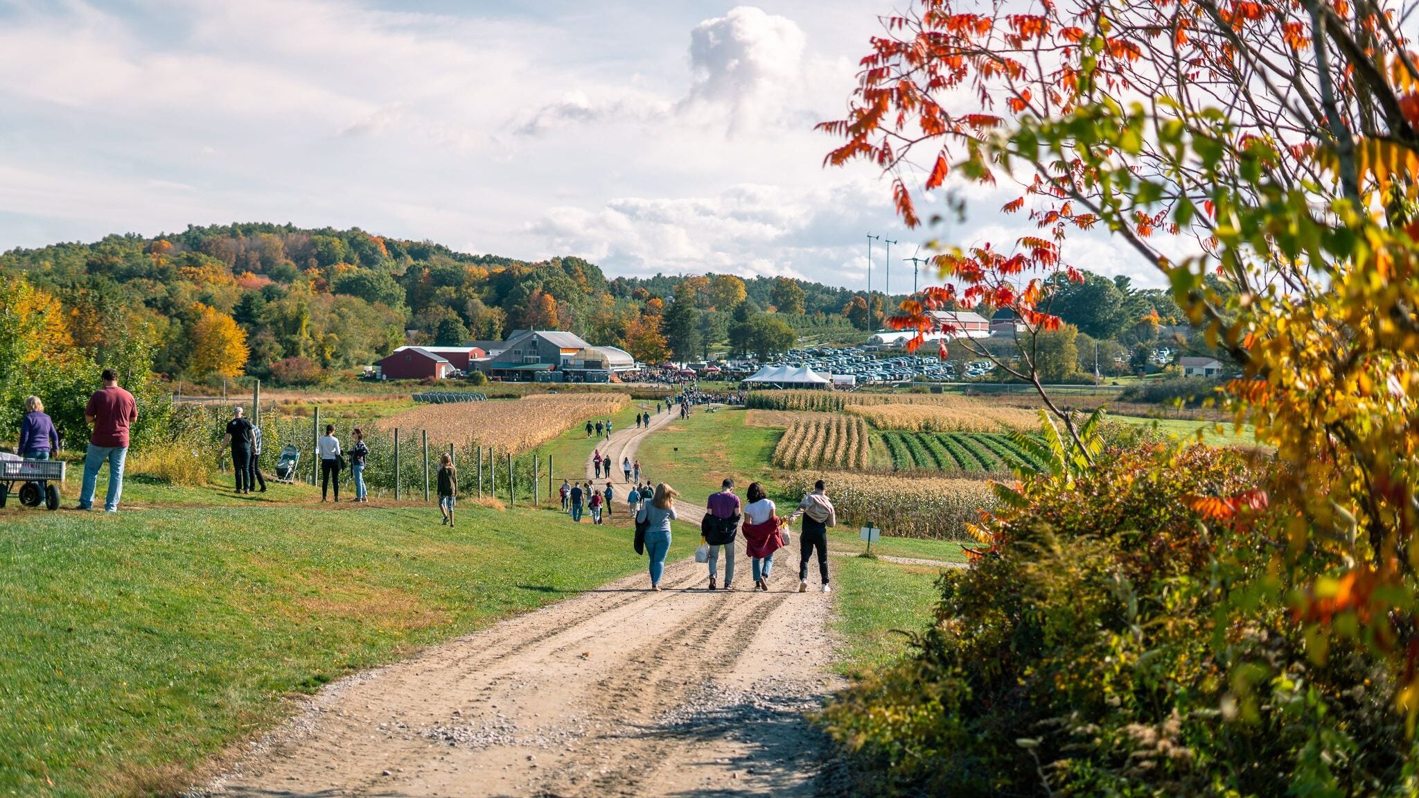Cider Hill Farm