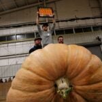 Craig F. Walker/Globe Staff