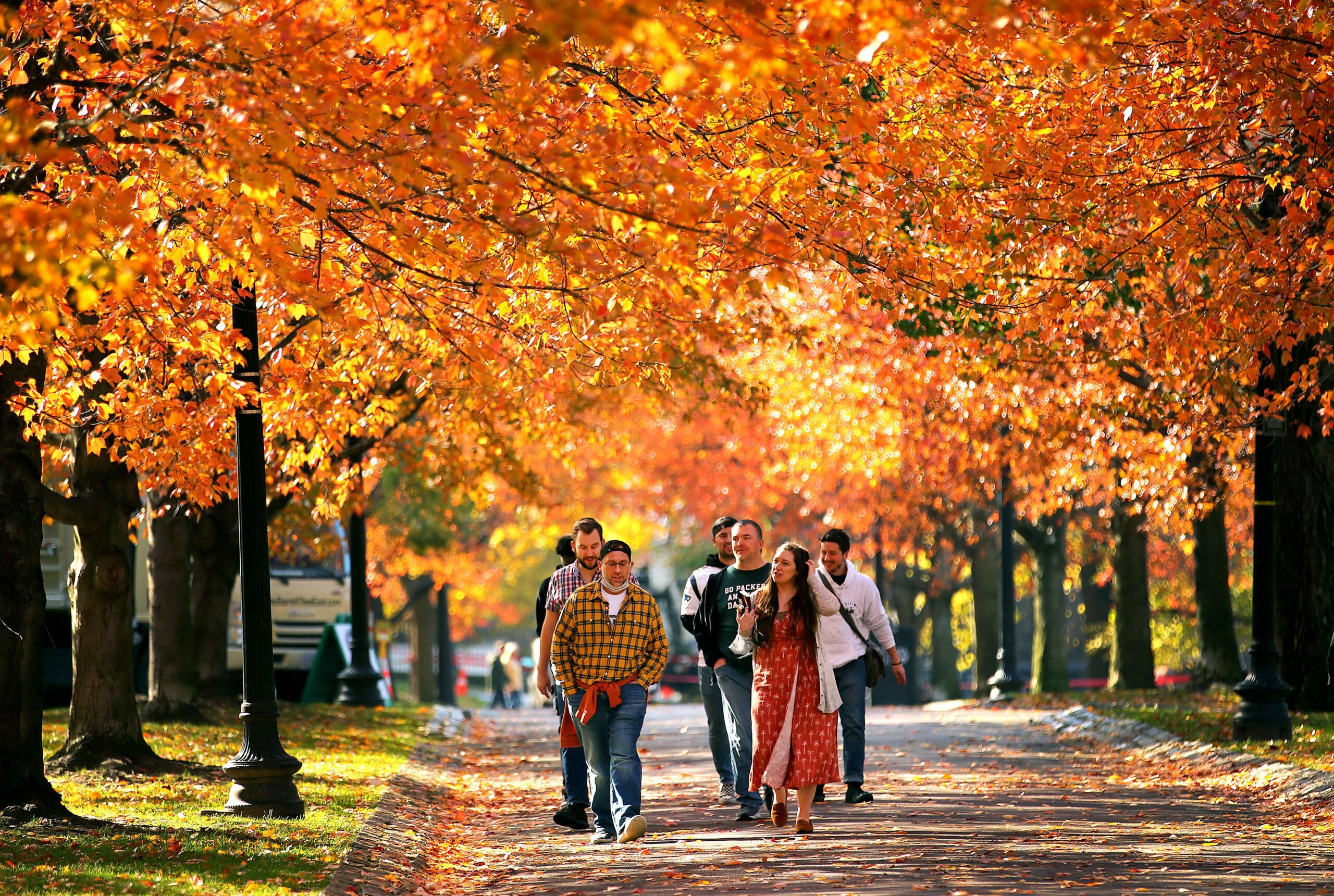 12 Bostonians share their favorite leaf peeping spots in New England