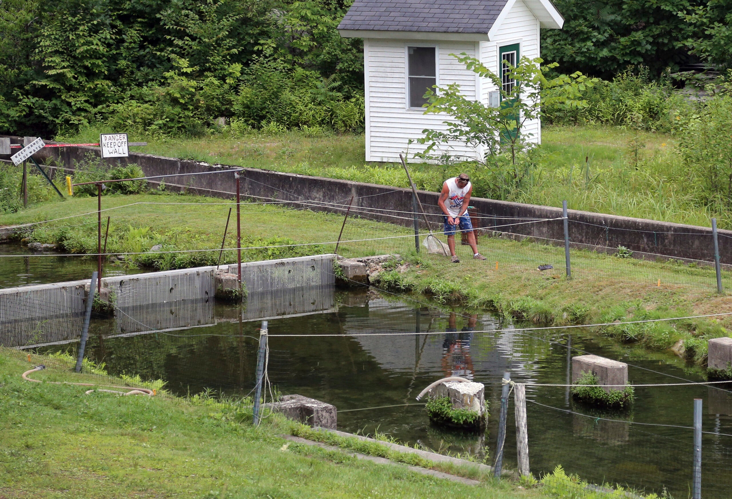 New Hampshire agrees to upgrade fish hatchery over pollution fears