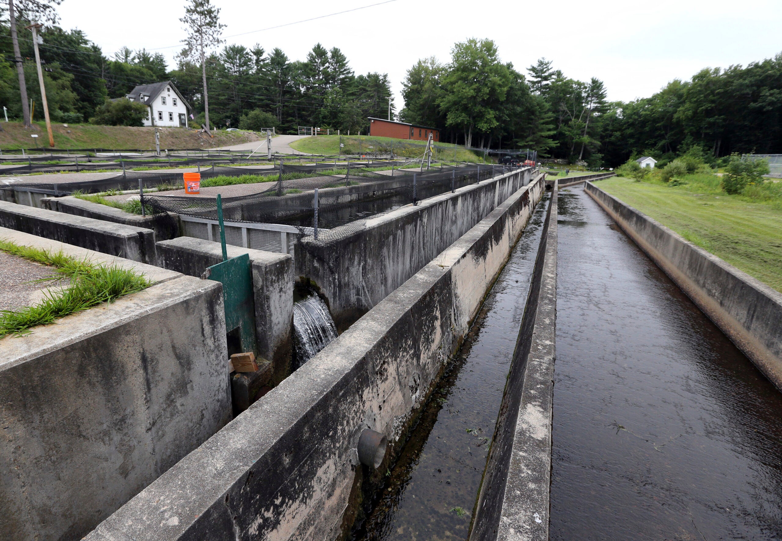 New Hampshire agrees to upgrade fish hatchery over pollution fears