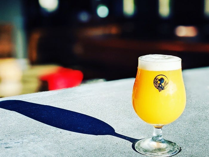 Magic Hat and the Dropkick Murphys created a St. Patrick's Daythemed beer together